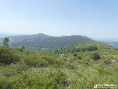 Rodeando la Cima Cabeza de la Braña;singles senderismo senderismo montaña guias de senderismo sender